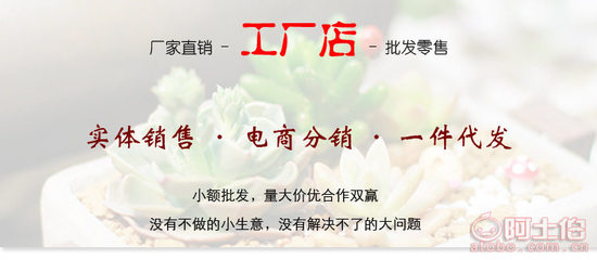 沐晴陶瓷廠家直銷 哥窯花盆與汝窯花盆——室內綠植的完美伴侶